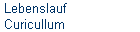 Lebenslauf 
 Curicullum